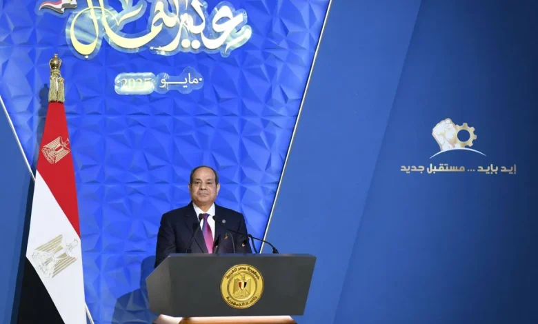 السيسي يدعو إلى حوار مجتمعي بشأن تشريع للعمالة المنزلية السيسي يدعو إلى حوار مجتمعي بشأن تشريع للعمالة المنزلية