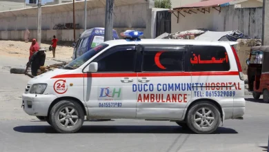 الصومال تعلن القضاء على أكثر من 120 عنصراً إرهابيّاً